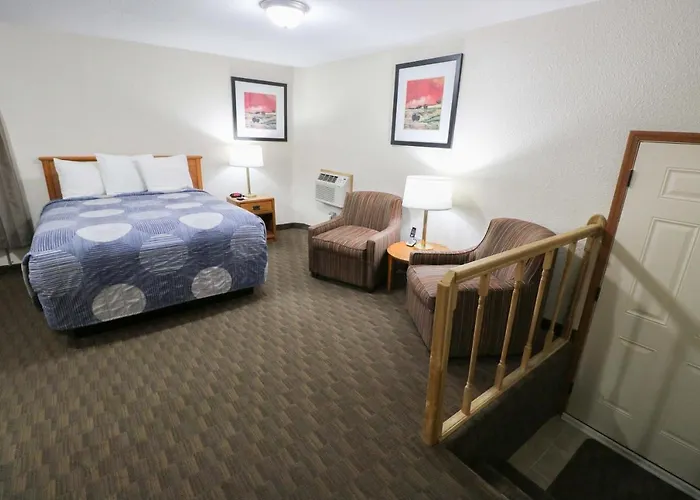 Motel Bear