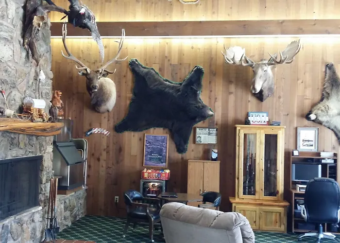 Bear Motel