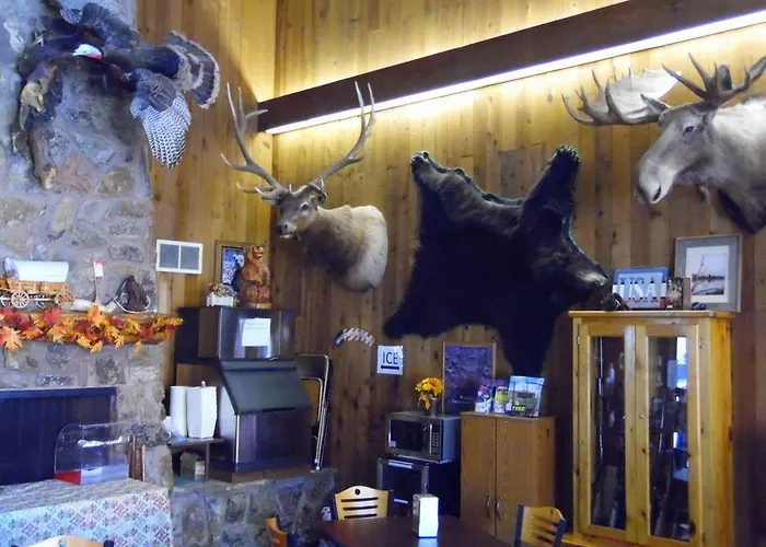 Bear Sundance