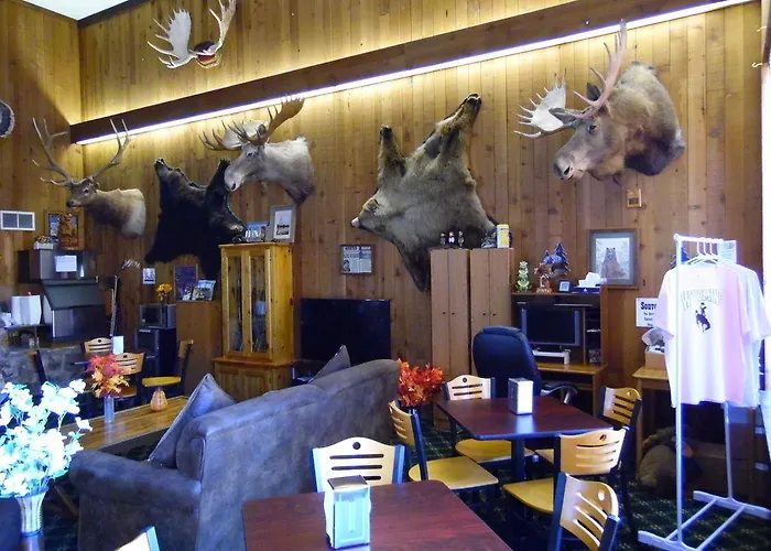 Bear Motel