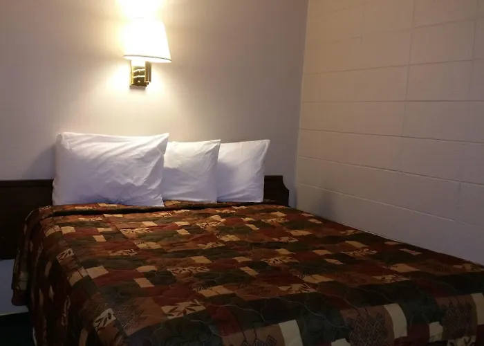 Bear Motel 2*