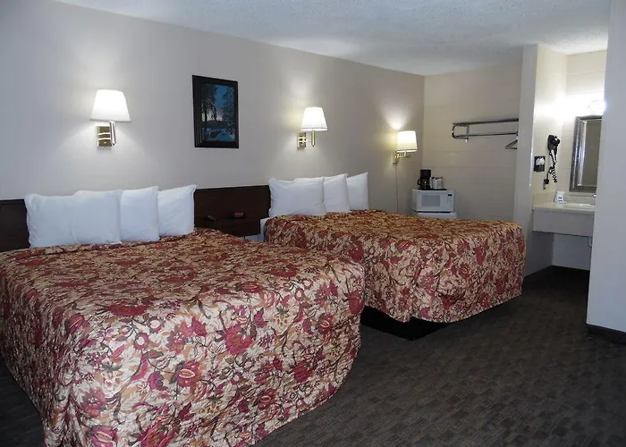 Motel Bear