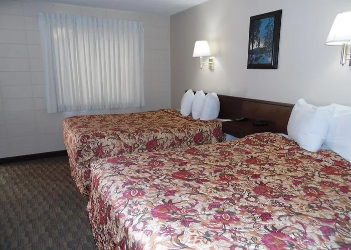 Motel Bear 2*