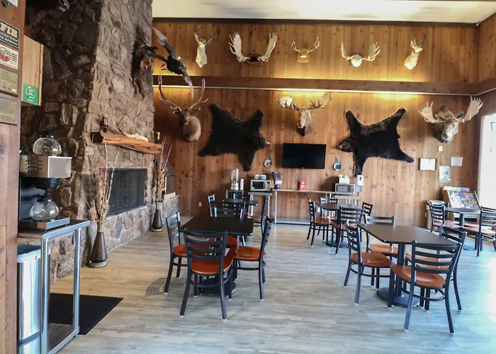 Bear Motel Sundance
