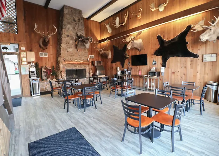 Bear Motel Sundance