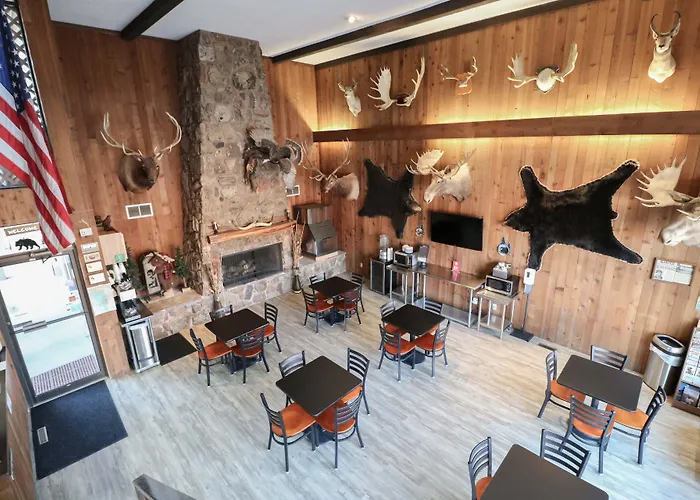 Motel Bear