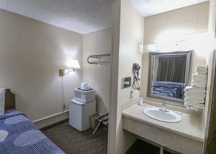 Motel Bear